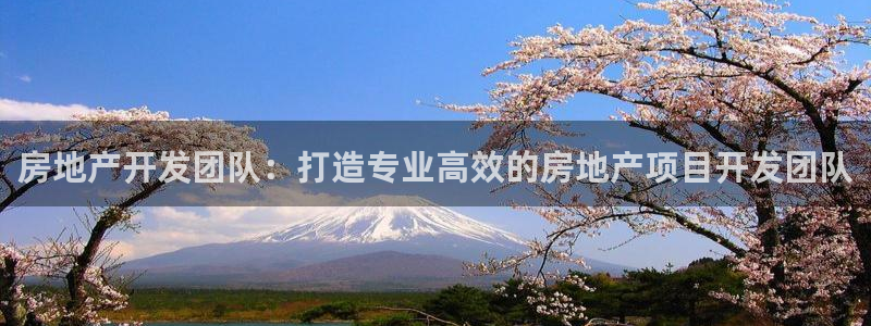 万能娱乐平台直招代理