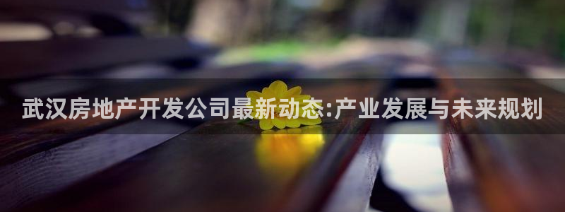 万向娱乐平台注册条件是什么