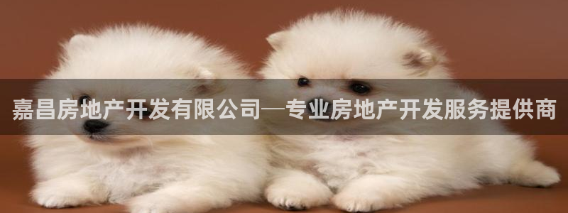 万向娱乐平台代理怎么做