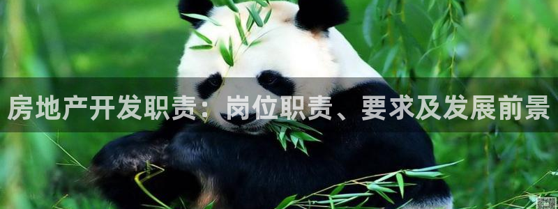 万向娱乐平台怎么下载