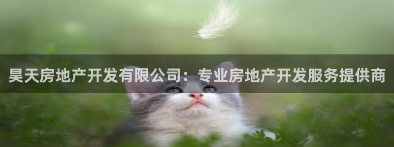 万向娱乐招商
