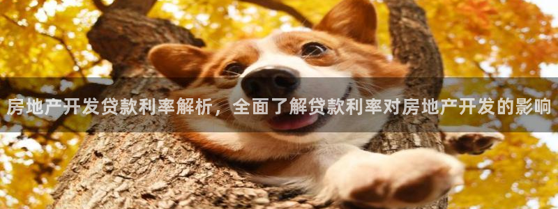 万向娱乐官网下载安装