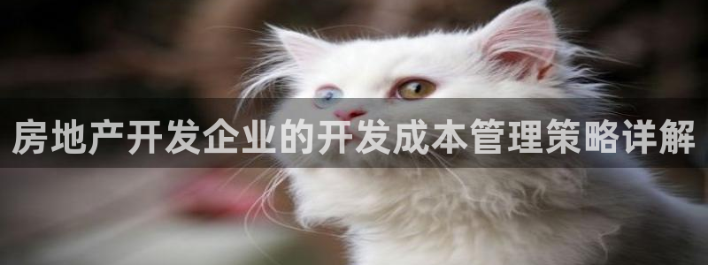 万向娱乐王者荣耀