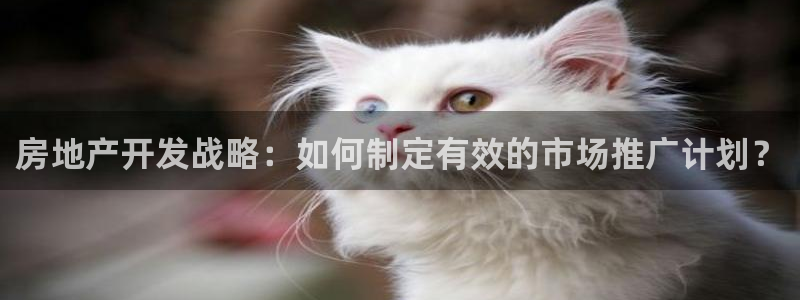 万向娱乐平台注册条件