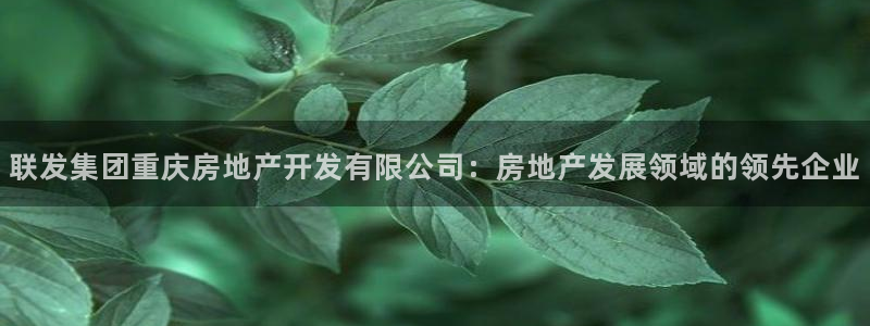 万向娱乐官网网址是什么