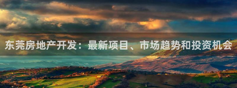万向娱乐挂机