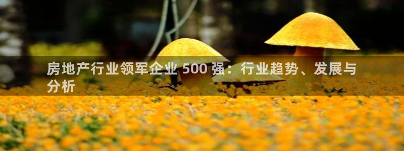 万向娱乐平台代理怎么样啊
