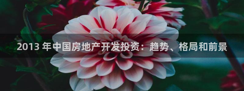 万向娱乐平台注册条件要求