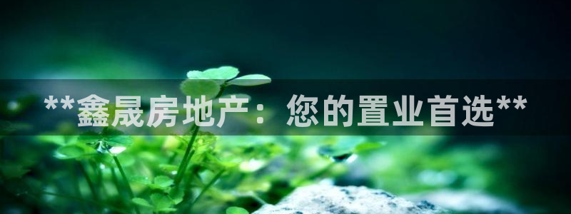 万向娱乐平台代理怎么样
