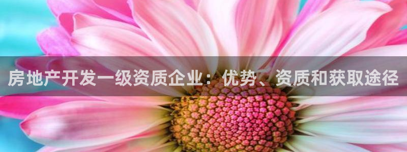 万向娱乐官网网址是什么