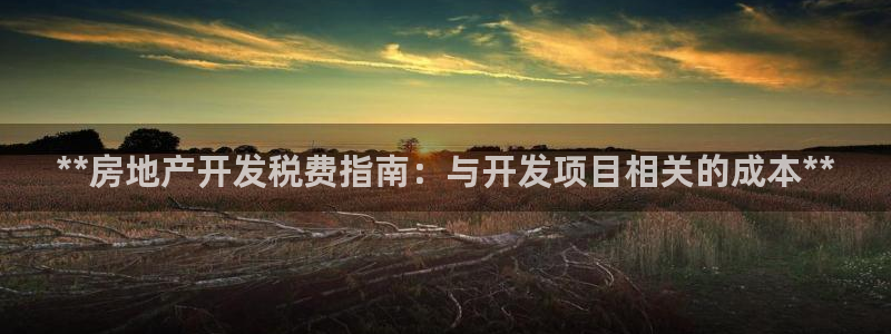 万向娱乐的494o3 主管