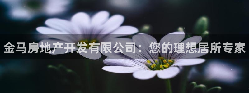 万向娱乐王者荣耀