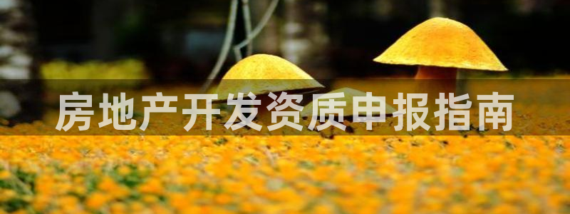万向娱乐下载安装