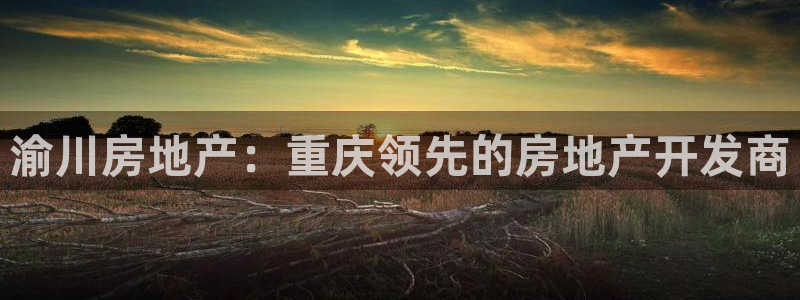 万向娱乐平台注册条件有哪些