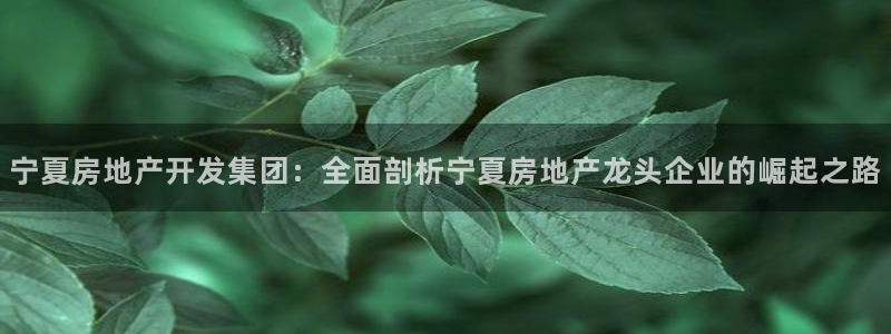 万向娱乐注册登录不上怎么回事