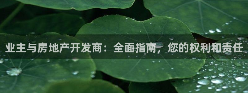 万能娱乐代理网址