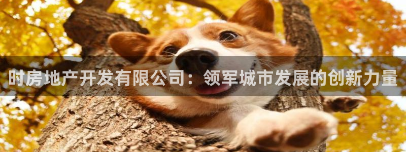 万向娱乐注册开户