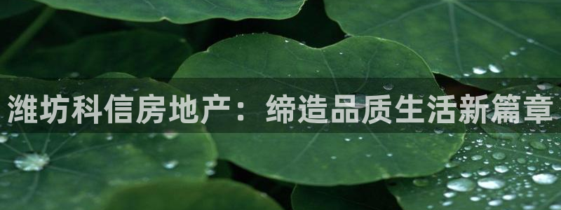万向娱乐注册开户要多久