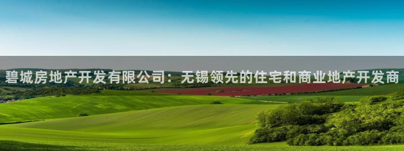 万向娱乐平台代理怎么做