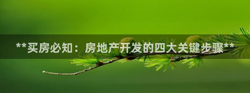 万向娱乐平台代理怎么样啊