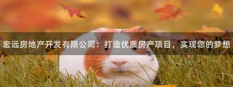 万向娱乐的联系方式是什么