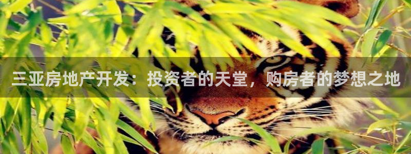 万向娱乐app